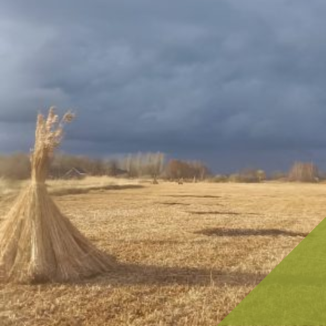 Genieten om de Hoek Steenwijkerland (6)